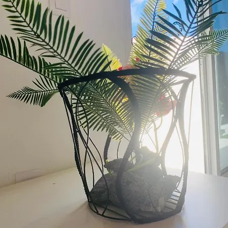 Apartmán Loft La Isla Playa Blanca (Lanzarote)