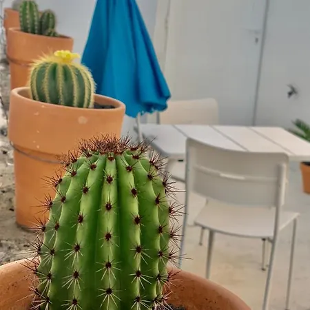 Apartamento Loft La Isla Playa Blanca (Lanzarote)