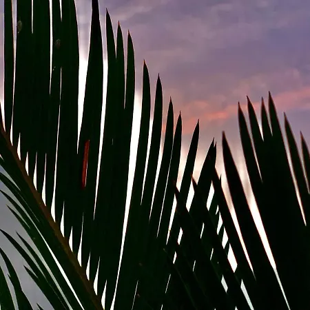 Loft La Isla Apartamento Playa Blanca (Lanzarote)