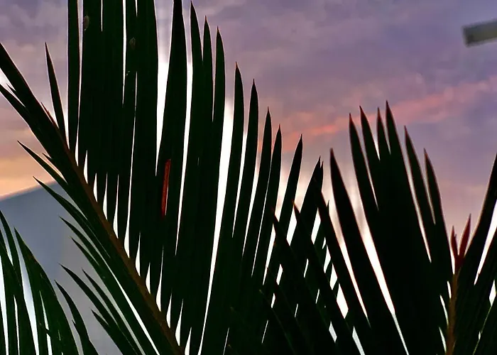 Loft La Isla Lägenhet Playa Blanca (Lanzarote)