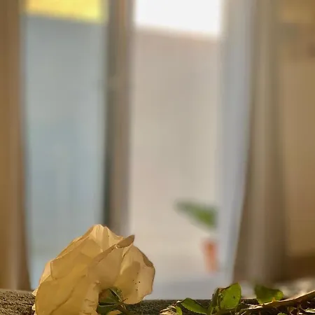 Loft La Isla Πλάγια Μπλάνκα