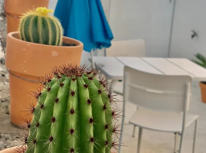 Appartement Loft La Isla Playa Blanca (Lanzarote)