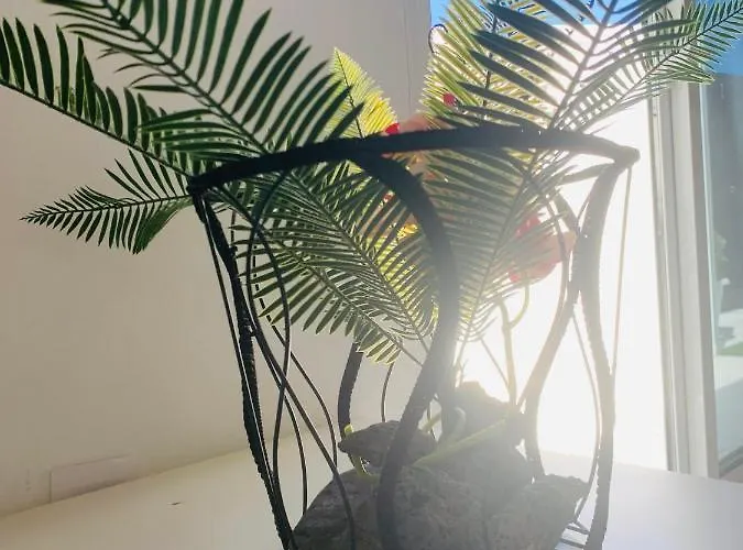 Appartement Loft La Isla Playa Blanca (Lanzarote)